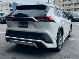 TOYOTA RAV4 G 2019 full