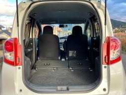 TOYOTA RACTIS G S PACKAGE 2010 full