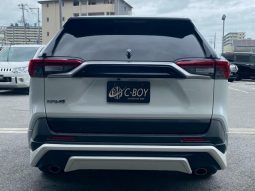 TOYOTA RAV4 G 2019 full