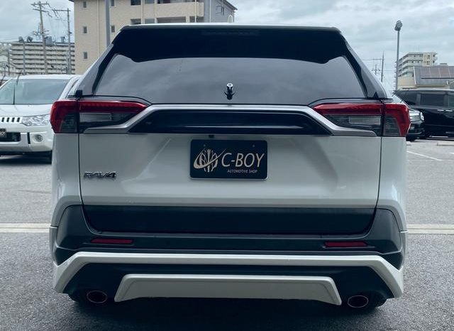 TOYOTA RAV4 G 2019 full