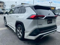 TOYOTA RAV4 G 2019 full