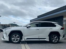 TOYOTA RAV4 G 2019 full