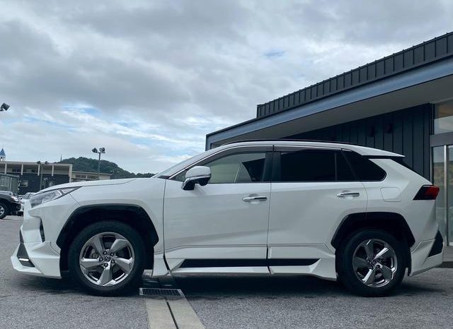 TOYOTA RAV4 G 2019 full