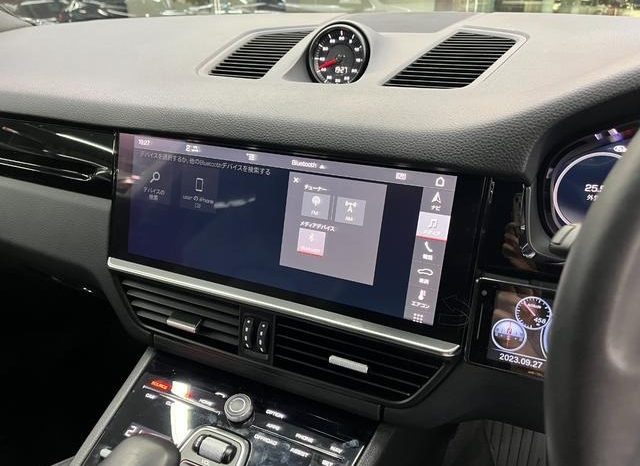 PORSCHE CAYENNE BASEGRADE 2019 full