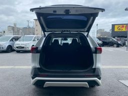 TOYOTA RAV4 G 2019 full