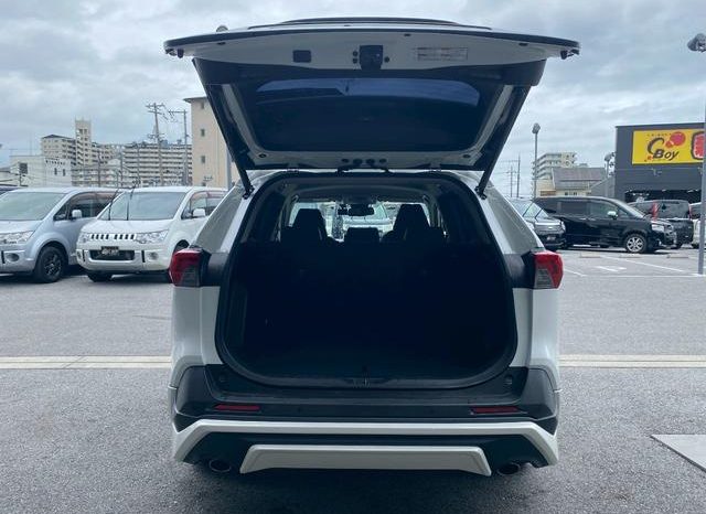 TOYOTA RAV4 G 2019 full