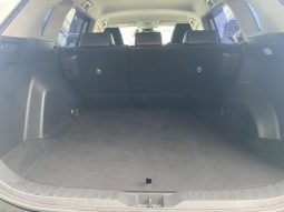 TOYOTA RAV4 G 2019 full