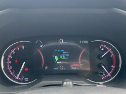 TOYOTA RAV4 G 2019 full