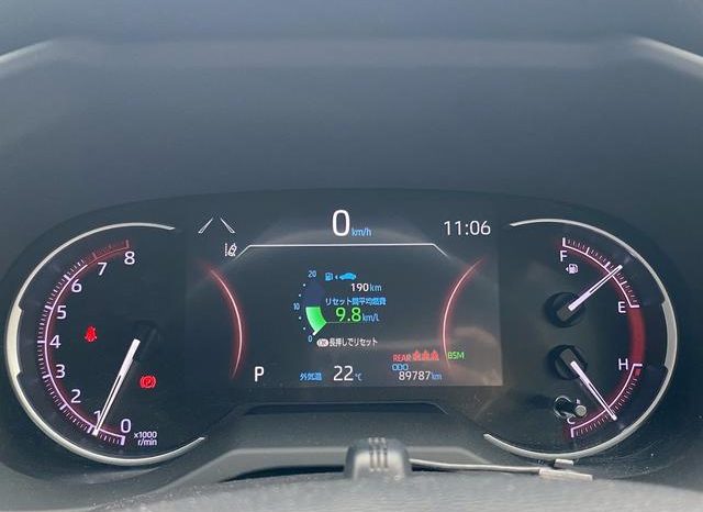 TOYOTA RAV4 G 2019 full