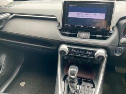 TOYOTA RAV4 G 2019 full