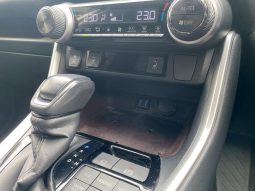 TOYOTA RAV4 G 2019 full