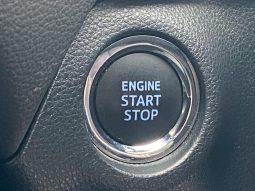 TOYOTA RAV4 G 2019 full