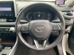 TOYOTA RAV4 G 2019 full