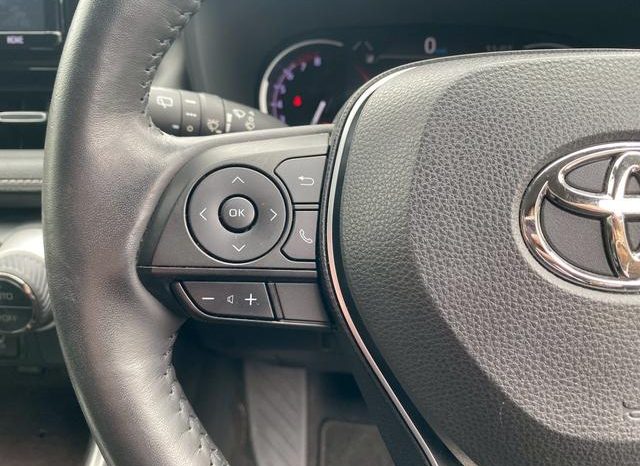 TOYOTA RAV4 G 2019 full