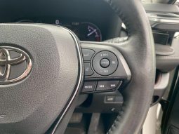 TOYOTA RAV4 G 2019 full