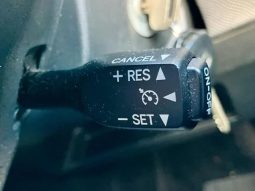 TOYOTA RACTIS G S PACKAGE 2010 full