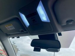 TOYOTA RAV4 G 2019 full