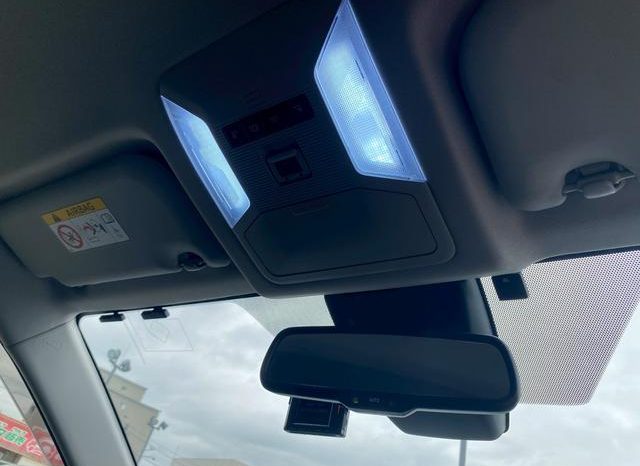 TOYOTA RAV4 G 2019 full