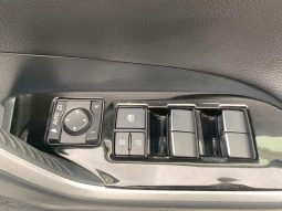 TOYOTA RAV4 G 2019 full