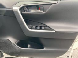 TOYOTA RAV4 G 2019 full