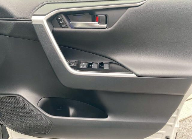 TOYOTA RAV4 G 2019 full