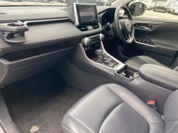 TOYOTA RAV4 G 2019 full