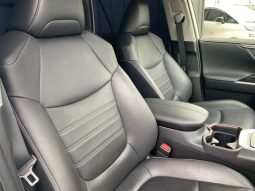 TOYOTA RAV4 G 2019 full
