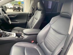 TOYOTA RAV4 G 2019 full