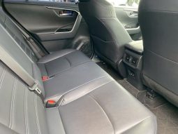 TOYOTA RAV4 G 2019 full