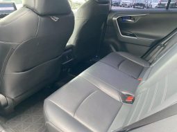 TOYOTA RAV4 G 2019 full