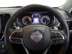 CHRYSLER JEEP JEEP CHEROKEE LIMITED 2019 full