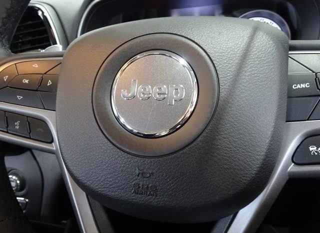 CHRYSLER JEEP JEEP CHEROKEE LIMITED 2019 full