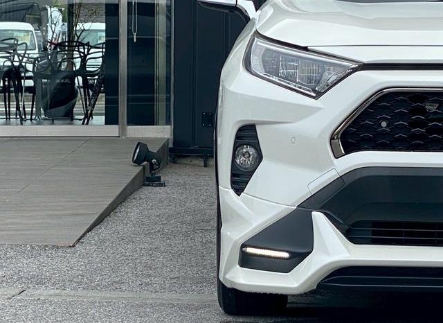 TOYOTA RAV4 G 2019 full