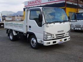 ISUZU ELF TRUCK DUMP 2017