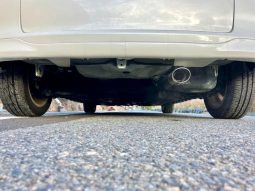 TOYOTA RACTIS G S PACKAGE 2010 full