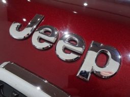 CHRYSLER JEEP JEEP CHEROKEE LIMITED 2019 full