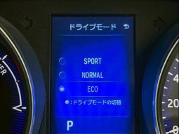 TOYOTA C-HR G 2017 full