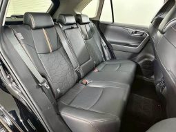 TOYOTA RAV4 ADVENTURE 2020 full