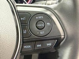 TOYOTA RAV4 ADVENTURE 2020 full