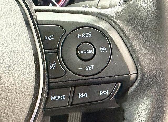 TOYOTA RAV4 ADVENTURE 2020 full