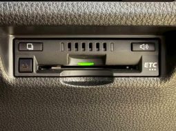 TOYOTA RAV4 ADVENTURE 2020 full