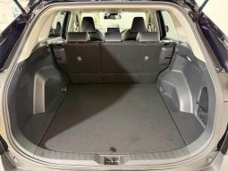 TOYOTA RAV4 ADVENTURE 2020 full