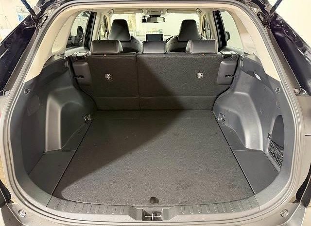 TOYOTA RAV4 ADVENTURE 2020 full