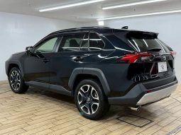 TOYOTA RAV4 ADVENTURE 2020 full