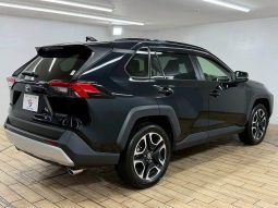 TOYOTA RAV4 ADVENTURE 2020 full