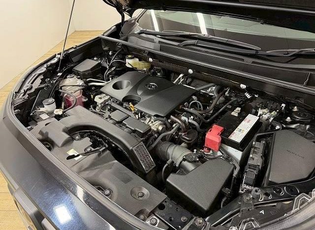 TOYOTA RAV4 ADVENTURE 2020 full