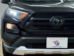 TOYOTA RAV4 ADVENTURE 2020 full