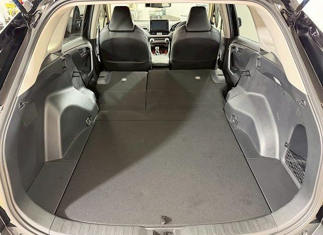 TOYOTA RAV4 ADVENTURE 2020 full