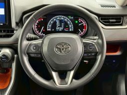 TOYOTA RAV4 ADVENTURE 2020 full