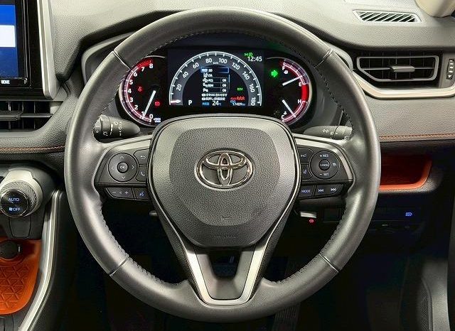 TOYOTA RAV4 ADVENTURE 2020 full
